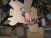 2010-10-21_191140_0867