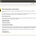 UntrustedConnectionWarning