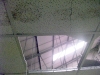 Skylight