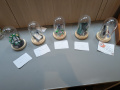 PXL_20250531_120028090