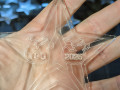 IMG-20251211-WA0033