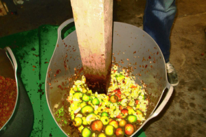 Cider Making