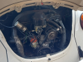 IMG-20250719-WA0051