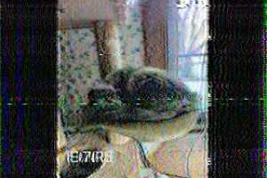 Dublin Comic Con Spring 25