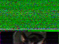 20250315_104410