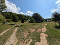 PXL_20250722_081130135