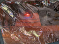 PXL_20250725_164708278