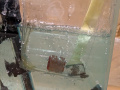 PXL_20250725_212354048