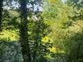 IMG-20260426-WA0005