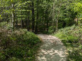 PXL_20260424_121844110