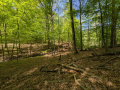 PXL_20260424_121955443