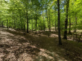 PXL_20260424_121957983