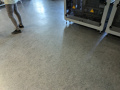 PXL_20260511_090357486