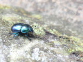 IMG_20260510_150204