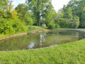IMG_20260510_184730