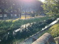 IMG-20260807-WA0007