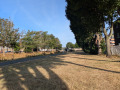 PXL_20260807_070234858