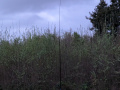 PXL_20260419_195112391