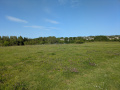 PXL_20260524_160245116.MP_