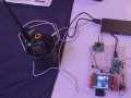 IMG-20250413-WA0014