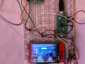 IMG-20250415-WA0018