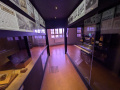 PXL_20260511_113601729
