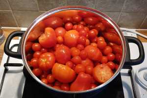 Tog Harvest 2025