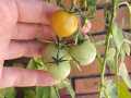 IMG-20250710-WA0053