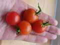 IMG-20250717-WA0021