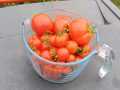IMG-20250811-WA0012