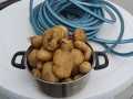 IMG-20250811-WA0013