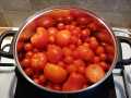 IMG-20250817-WA0004