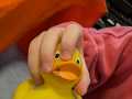 IMG-20251011-WA0035