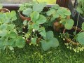 IMG_20210601_203146