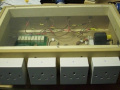 dsci0024