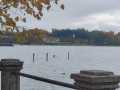 IMG-20251101-WA0014