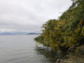 PXL_20251101_151940296.MP_
