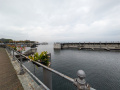PXL_20251102_094735678.MP_