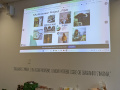 PXL_20251102_130034578
