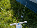 PXL_20250811_092211402